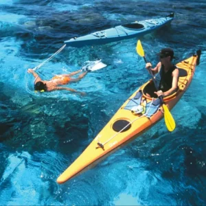 5 Days Luxury Whale Shark Discovery