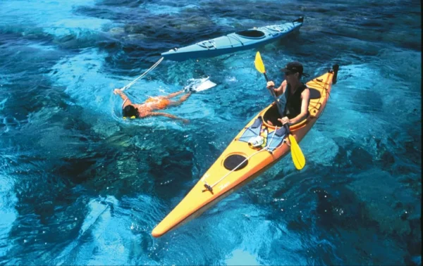 5 Days Luxury Whale Shark Discovery